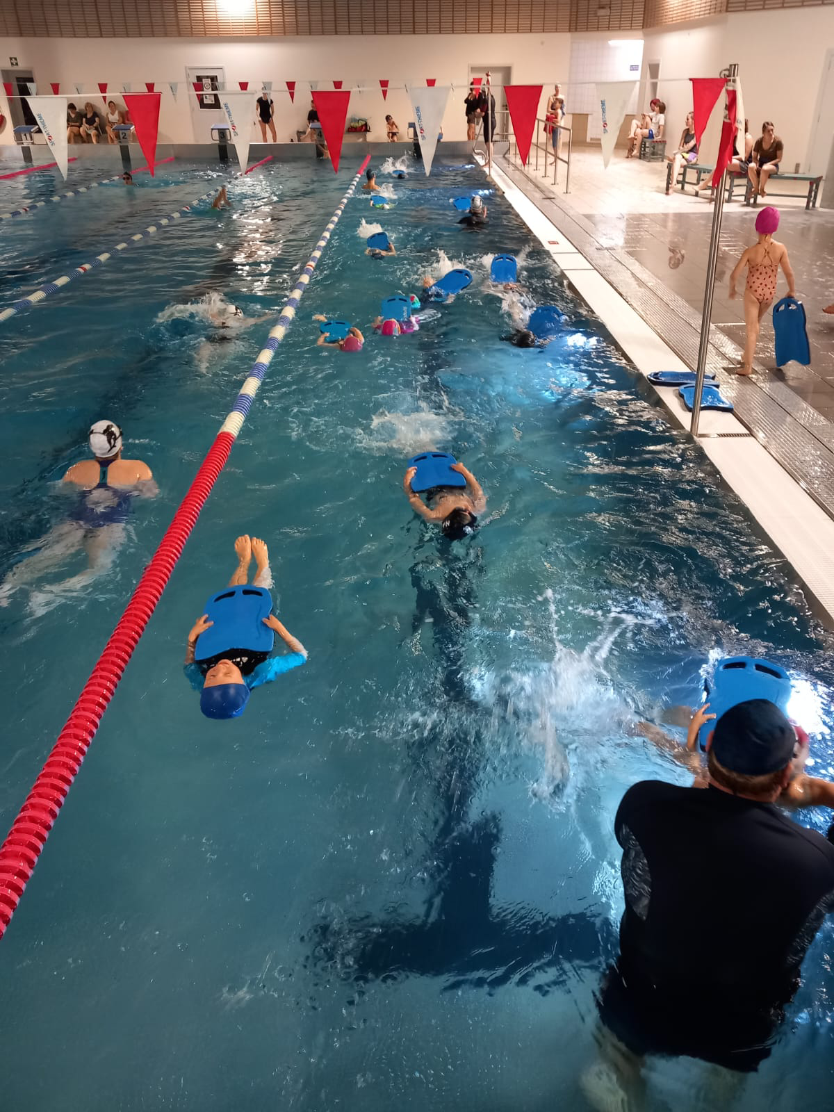 Cours d'accoutumance de natation
