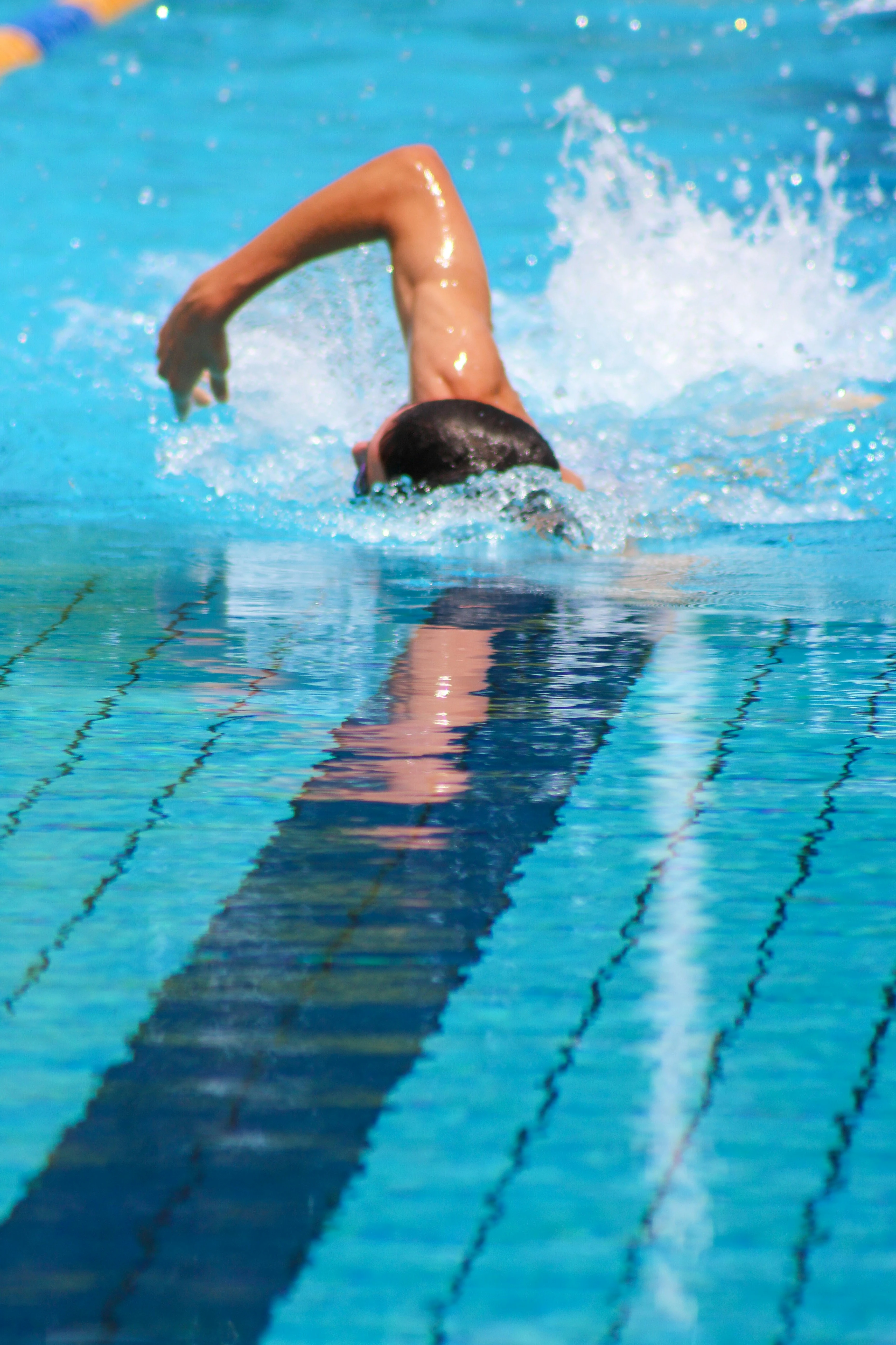 Cours d'accoutumance de natation